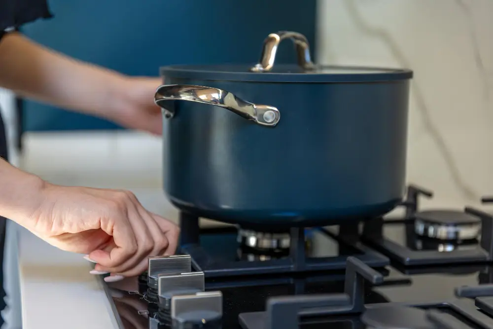 Hard Anodized Pressure Cookers Hard Anodized Pressure Cookers