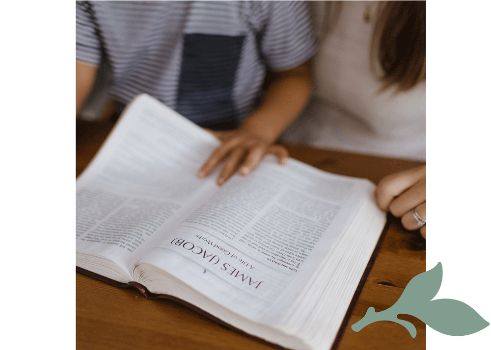 open bible with child and mother's hands open bible with child and mother's hands