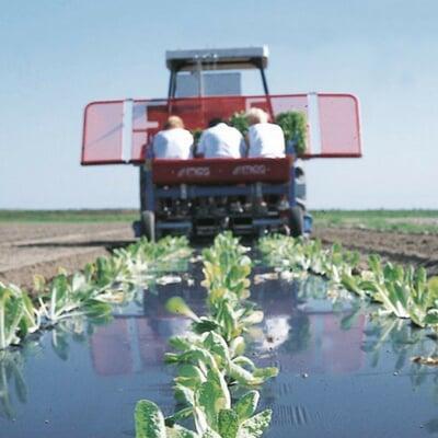 BioAgri Biodegradable Mulch Film BioAgri Biodegradable Mulch Film