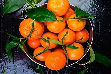Citrus