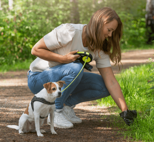 Dog Poo Bags Dog Poo Bags