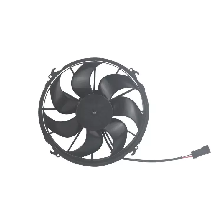 Fan Fan