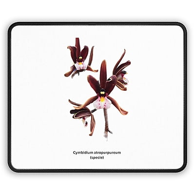 Cym. atropurpureum Orchid Mouse Pad