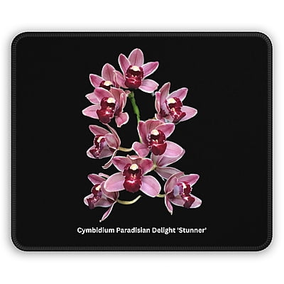 Cym. Paradisian Delight 'Stunner' Orchid Mouse Pad