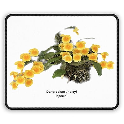 Den. lindleyi Orchid Mouse Pad Den. lindleyi Orchid Mouse Pad