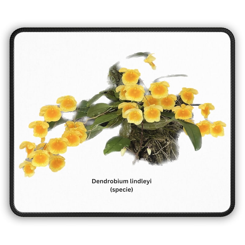 Den. lindleyi Orchid Mouse Pad Den. lindleyi Orchid Mouse Pad
