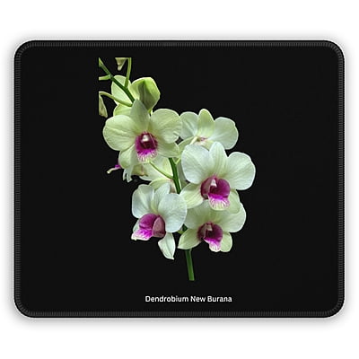 Dendrobium New Burana Orchid Mouse Pad Dendrobium New Burana Orchid Mouse Pad
