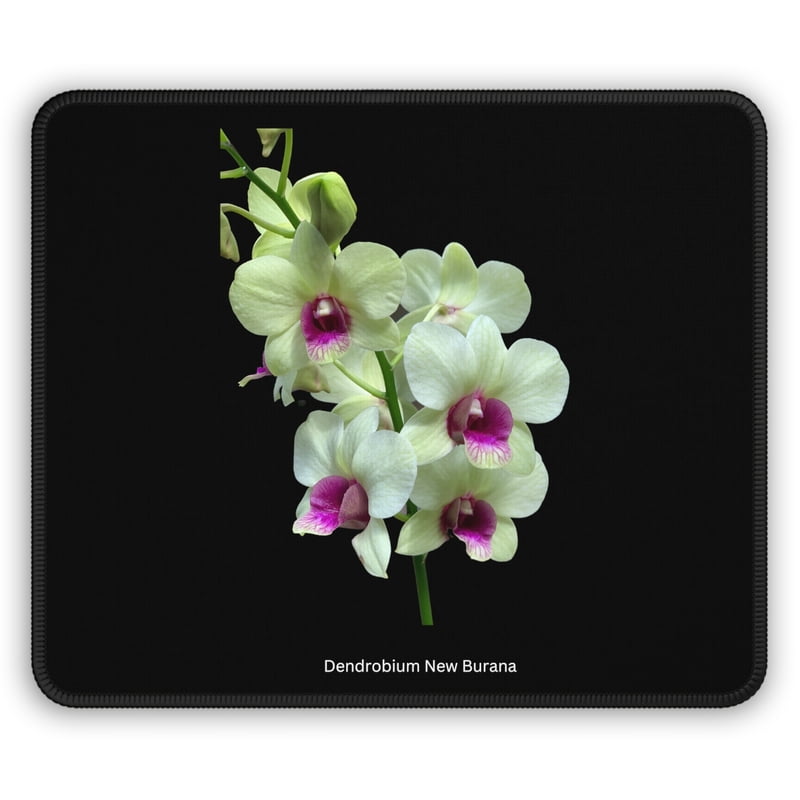 Dendrobium New Burana Orchid Mouse Pad Dendrobium New Burana Orchid Mouse Pad