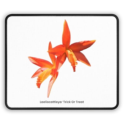 Laeliocattleya Trick Or Treat Orchid Mouse Pad Laeliocattleya Trick Or Treat Orchid Mouse Pad