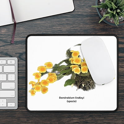 Den. lindleyi Orchid Mouse Pad Den. lindleyi Orchid Mouse Pad