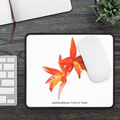 Laeliocattleya Trick Or Treat Orchid Mouse Pad Laeliocattleya Trick Or Treat Orchid Mouse Pad