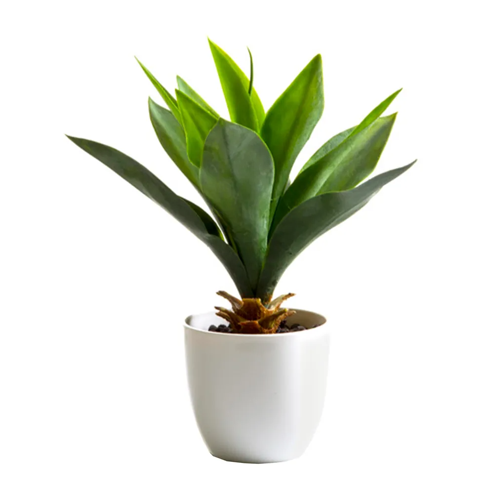Sculptural Artificial Agave Succulent - Hire