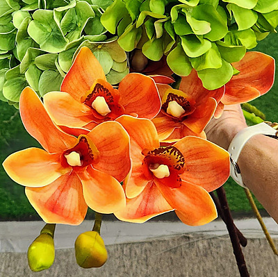 Tangerine Cymbidium Flower Stem Hire Melbourne