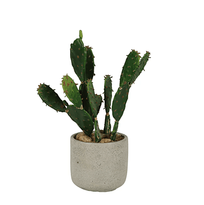 Tabletop Artificial Desert Cactus - Hire