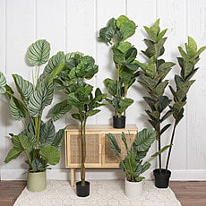 Artificial Plants - Hire Artificial Plants - Hire