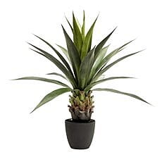 Artificial Plants - Hire Artificial Plants - Hire