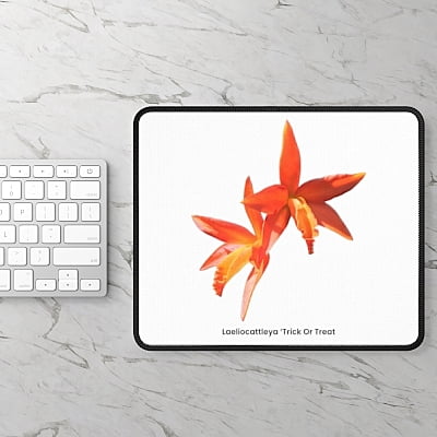 Laeliocattleya Trick Or Treat Orchid Mouse Pad Laeliocattleya Trick Or Treat Orchid Mouse Pad