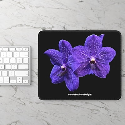 Vanda Pachara Delight Orchid Mouse Pad