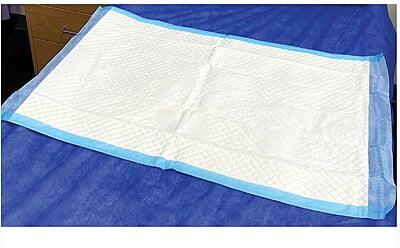Haines SmartBarrier Absorbent Pad Bluey 60x40cm 5 Ply Carton Of 300 Haines SmartBarrier Absorbent Pad Bluey 60x40cm 5 Ply Carton Of 300