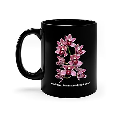 Cym. Paradisian Delight 'Stunner' Orchid Black Coffee Mug