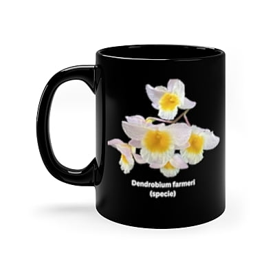 Den. farmeri Orchid Black Coffee Mug