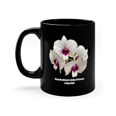 Dendrobium Little Princess x Garrish Orchid Mug