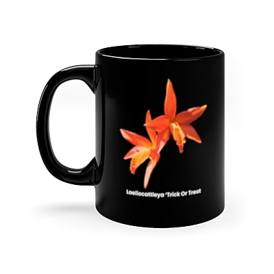 Laeliocattleya Trick Or Treat Orchid Mug
