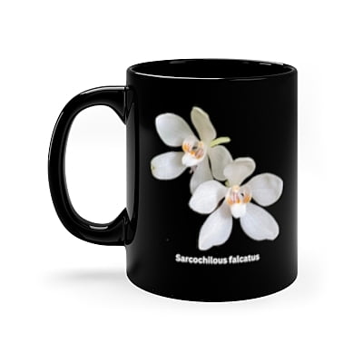 Sarcochilous falcatus Orchid Coffee Mug