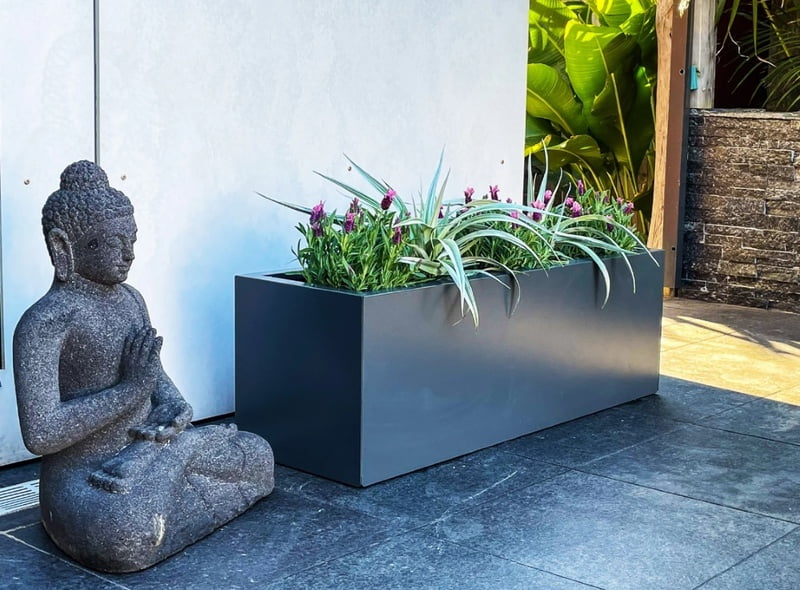 Black Designer Planter Trough Hire Black Designer Planter Trough Hire