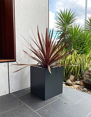 Black Designer Planter Trough Hire Black Designer Planter Trough Hire
