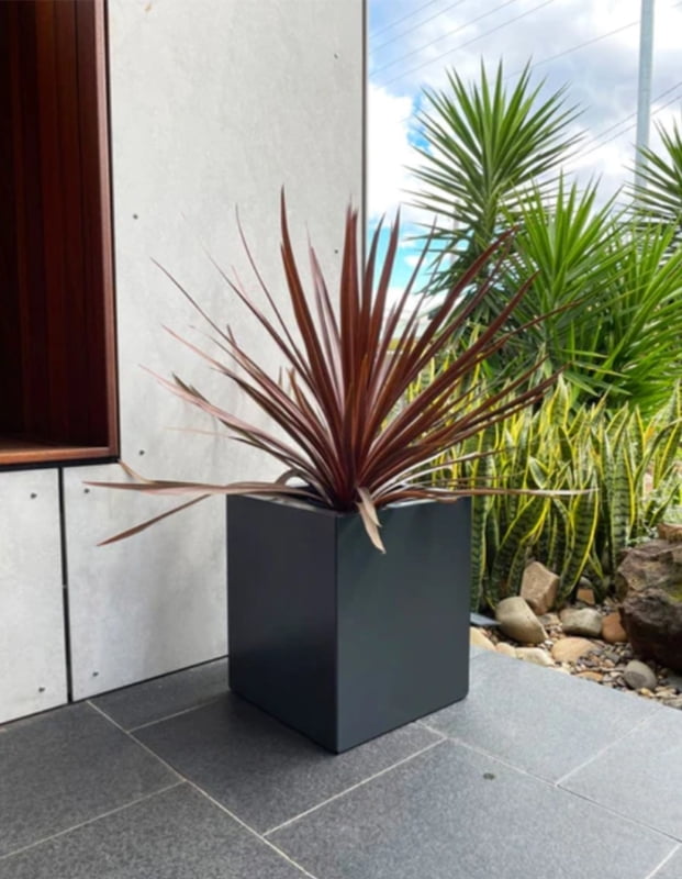 Black Designer Planter Trough Hire Black Designer Planter Trough Hire