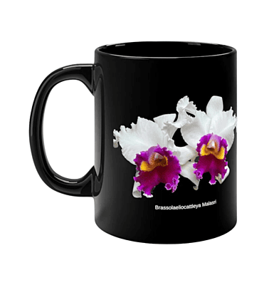 Blc. Malasri Orchid Black Coffee Mug