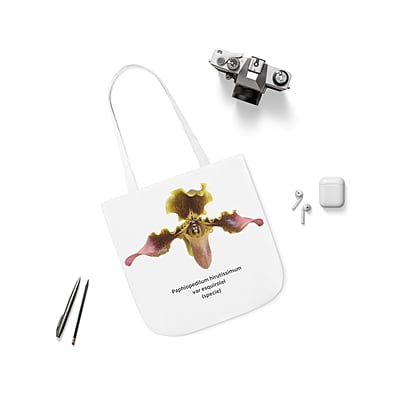 Paphiopedilum hirsutissimum var esquirolei Orchid Tote Bag Paphiopedilum hirsutissimum var esquirolei Orchid Tote Bag