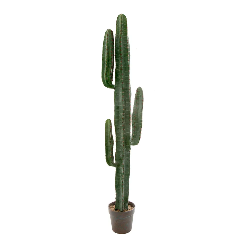 X Large Artificial Desert Cactus - Hire X Large Artificial Desert Cactus - Hire