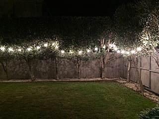 Festoon Lighting String Set Hire 10m