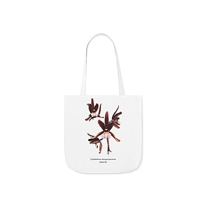 Cym. atropurpureum Orchid Tote Bag
