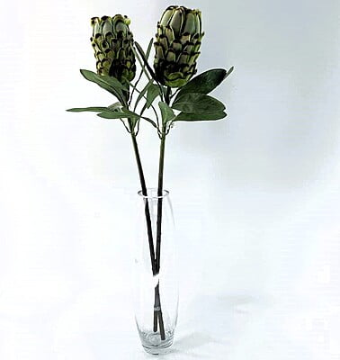 Banskia Stem Flower Hire Melbourne Banskia Stem Flower Hire Melbourne
