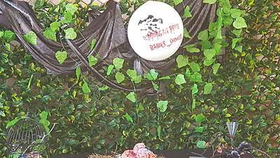 Customised Green Photo Wall/ Backdrop Customised Green Photo Wall/ Backdrop
