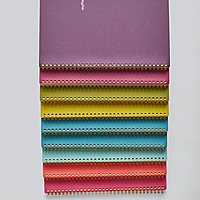 myPAPERCLIP Limited Edition Wiro A4 Notebook