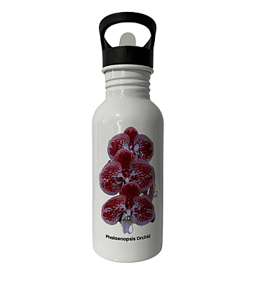 Pink & White Phalaenopsis Orchid Water Bottle