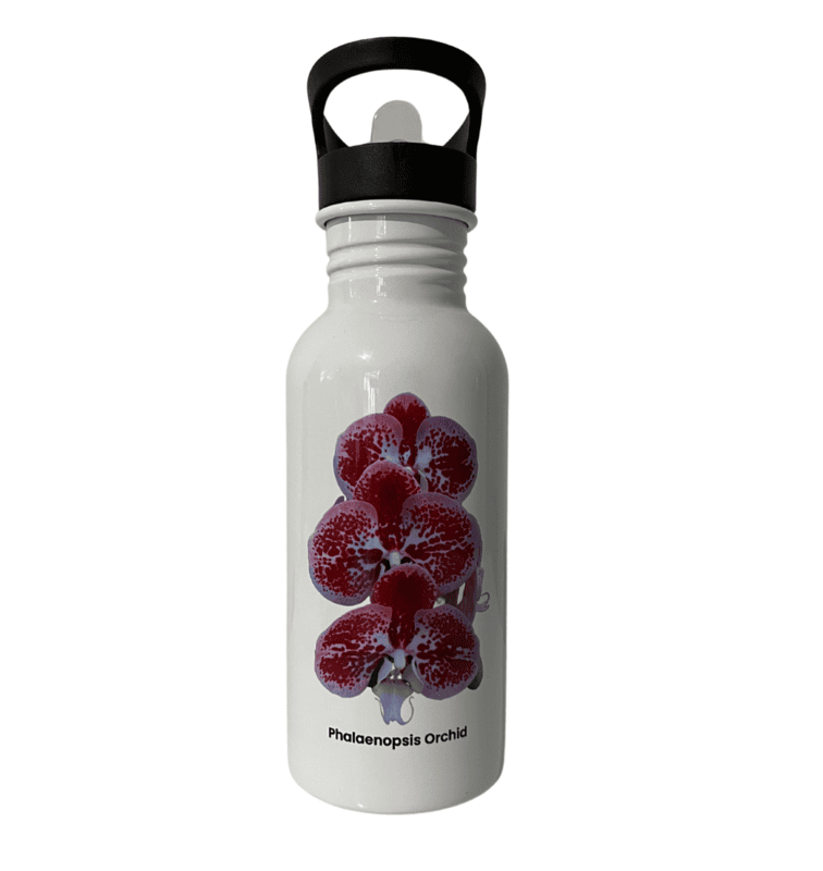 Pink & White Phalaenopsis Orchid Water Bottle Pink & White Phalaenopsis Orchid Water Bottle