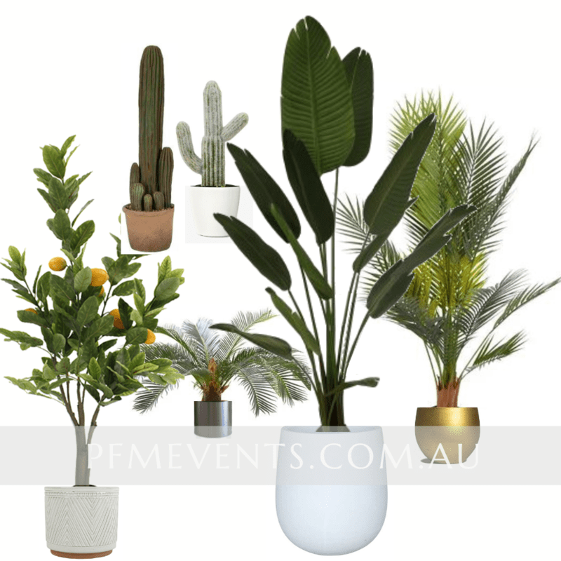 Artificial Plants - Hire Artificial Plants - Hire