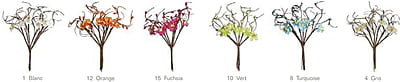 Copy of Green Banskia Stem Flower Hire Melbourne Copy of Green Banskia Stem Flower Hire Melbourne
