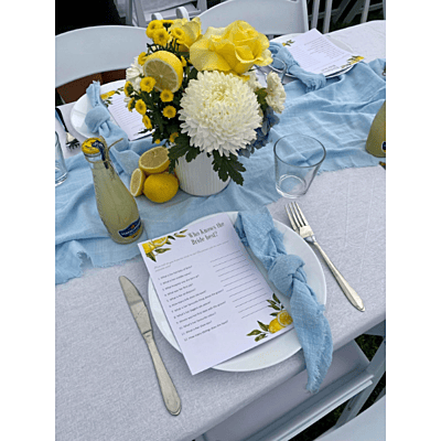 Wild Luxe Collection - Heron Island Blue Textured Cloth Napkin Hire Wild Luxe Collection - Heron Island Blue Textured Cloth Napkin Hire