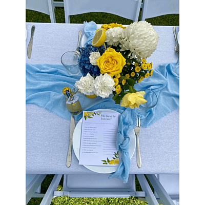 Wild Luxe Collection - Heron Island Blue Textured Cloth Napkin Hire Wild Luxe Collection - Heron Island Blue Textured Cloth Napkin Hire