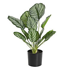 Artificial Tree - Hire Artificial Tree - Hire