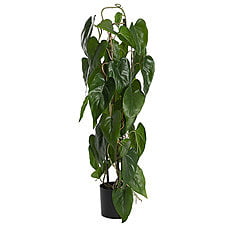 Artificial Tree - Hire Artificial Tree - Hire