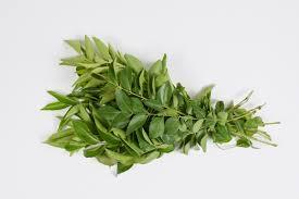 Curry Leaves Curry Leaves