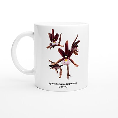 Cym. atropurpureum Orchid White Coffee Mug