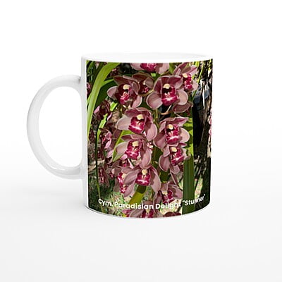 Cym. Paradisian Delight 'Stunner' Orchid Coffee Mug